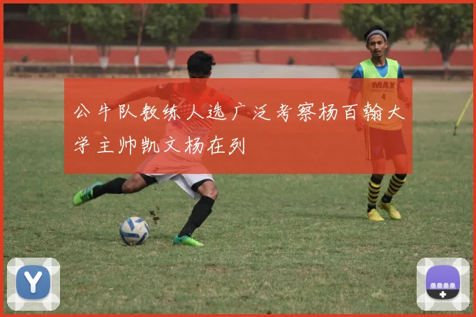 公牛队教练人选广泛考察杨百翰大学主帅凯文杨在列